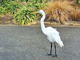 Bay Vista Waterfront Motel Picton