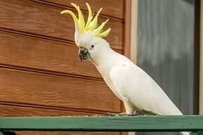 BIG4 Moruya Heads Easts Dolphin Beach Holiday Park