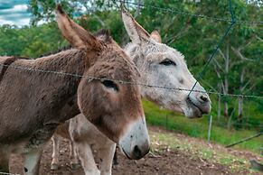 Whispering Valley Cottage Retreat