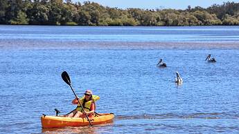 Anchorage Holiday Park - Iluka