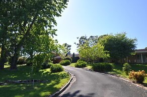 Poplars at Mittagong