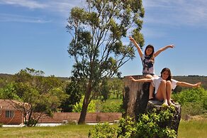 Poplars at Mittagong