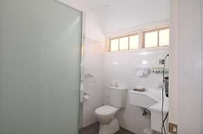 Poplars at Mittagong