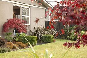 B&B @ the Redwoods