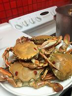 Abel Tasman Waterfront Motel