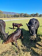 Halls Haven Holiday Units