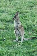 Halls Haven Holiday Units