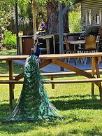 Halls Haven Holiday Units