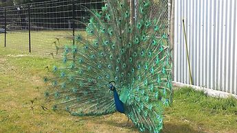 Halls Haven Holiday Units