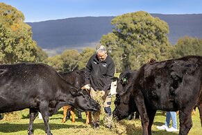 Halls Haven Holiday Units