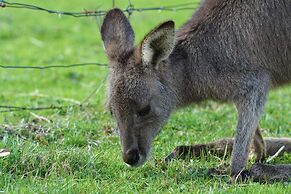 Halls Haven Holiday Units