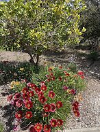 Byer Fountain Motor Inn, Holbrook