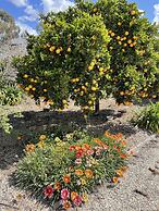 Byer Fountain Motor Inn, Holbrook