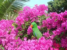 Villa Marine Holiday Apartments