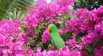 Villa Marine Holiday Apartments