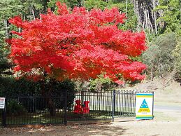 Porepunkah Pines Holiday Park