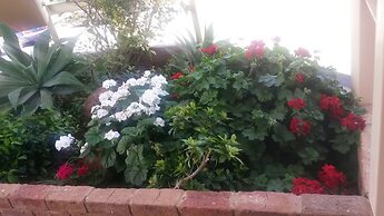 Abel Tasman Motor Inn