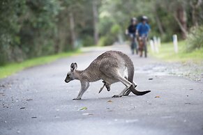 NRMA Myall Shores Holiday Park