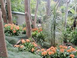 Wharepuke Subtropical Accommodation