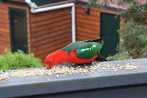 Bells Estate Great Ocean Road Cottages