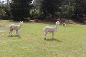Bells Estate Great Ocean Road Cottages