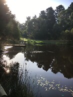 Bells Estate Great Ocean Road Cottages