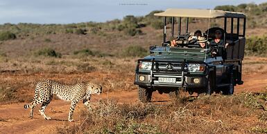 Woodbury Lodge - Amakhala Game Reserve
