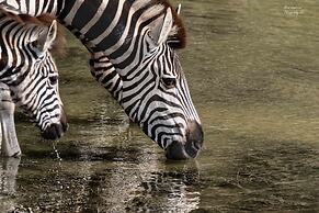 Woodbury Lodge - Amakhala Game Reserve