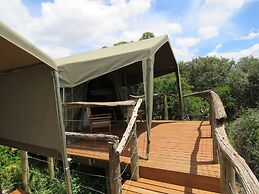 Woodbury Tented Camp - Amakhala Game Reserve