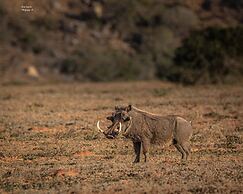 Woodbury Tented Camp - Amakhala Game Reserve