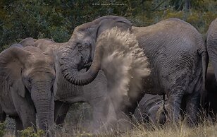 Woodbury Tented Camp - Amakhala Game Reserve