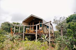 Woodbury Tented Camp - Amakhala Game Reserve
