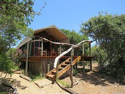 Woodbury Tented Camp - Amakhala Game Reserve