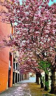 Ibis Lille Centre Grand Palais