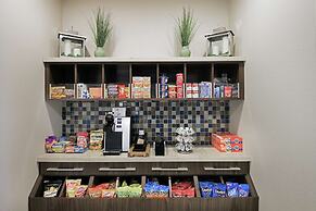 Hilton Garden Inn San Antonio At The Rim