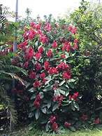 Hotel B&B Garden Grecia