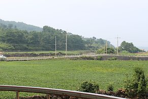 Jeju Feel House