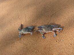 Royal Heritage Pavillion