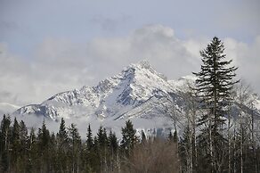 Mountain View Cabins