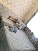 X-Plorer Backpackers - Hostel