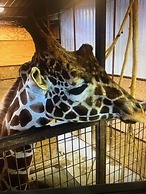 Quality Inn & Suites Caldwell I-77