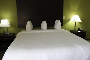 Quality Inn & Suites University Area