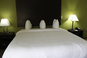Quality Inn & Suites University Area