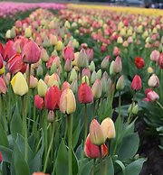 La Conner Channel Lodge