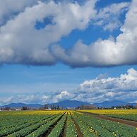 La Conner Channel Lodge