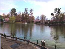 Court Hotel Asahikawa