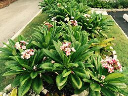 Downtown Hollywood Boutique Hotel