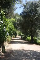 Quinta Das Escomoeiras