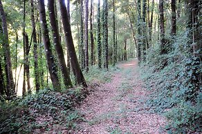 Quinta Das Escomoeiras