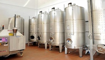 Quinta Das Escomoeiras